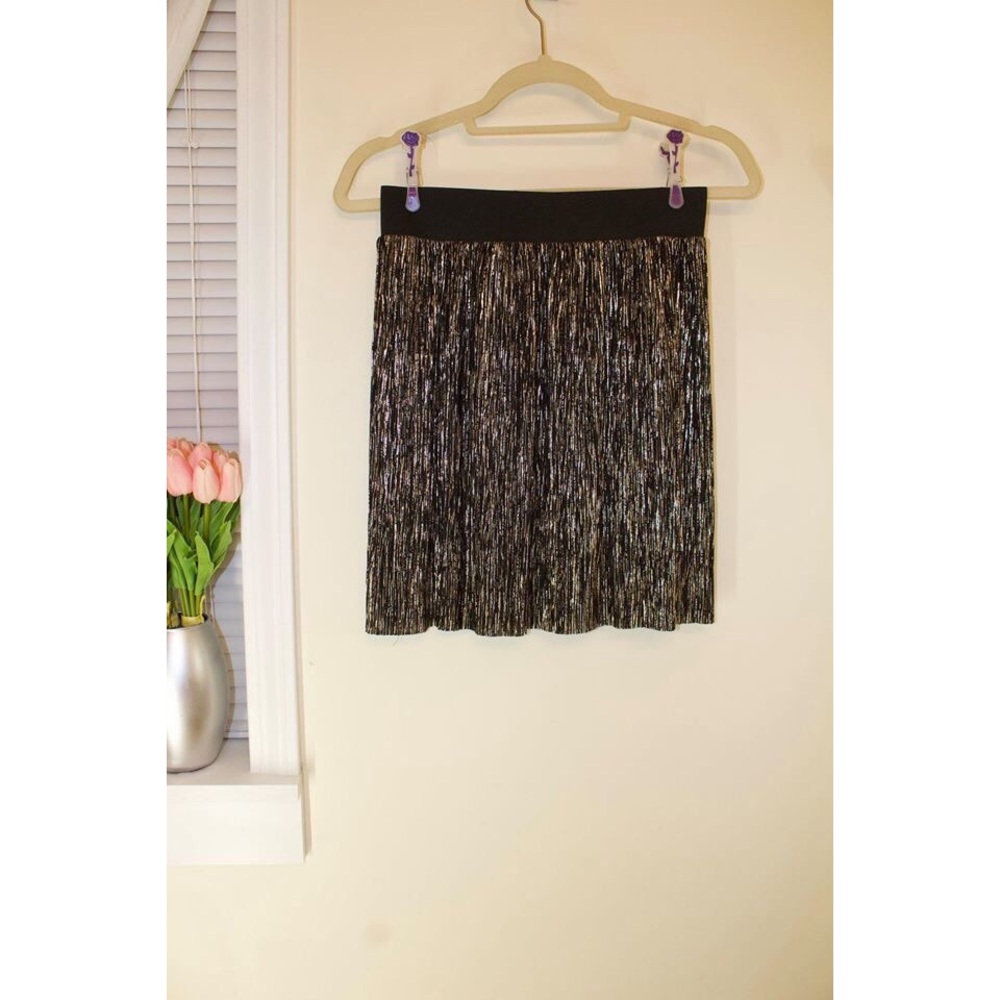 NWT Stella and Dot skirt! Size: Small